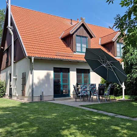 Ferienhaus Hase Vila Burg  Exterior foto