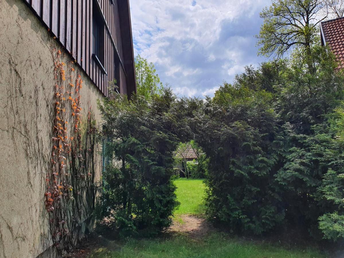 Ferienhaus Hase Vila Burg  Exterior foto